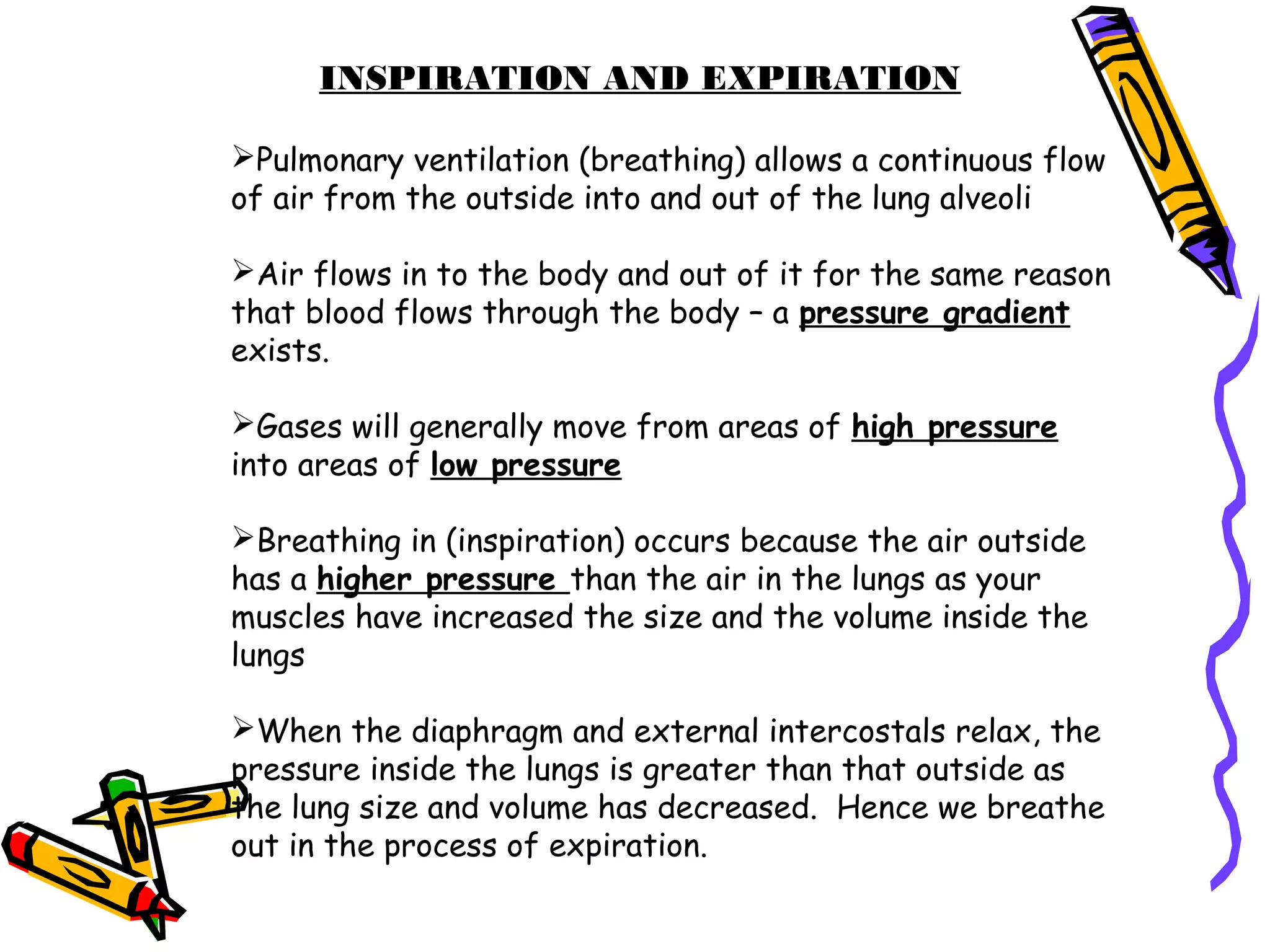 INSPIRATION AND EXPIRATION
Pulmonary ventilation (breathing) allows a continuous flow
of air from the outside into and out of the lung alveoli
Air flows in to the body and out of it for the same reason
that blood flows through the body – a pressure gradient
exists.
Gases will generally move from areas of high pressure
into areas of low pressure
Breathing in (inspiration) occurs because the air outside
has a higher pressure than the air in the lungs as your
muscles have increased the size and the volume inside the
lungs
When the diaphragm and external intercostals relax, the
pressure inside the lungs is greater than that outside as
the lung size and volume has decreased. Hence we breathe
out in the process of expiration.
 