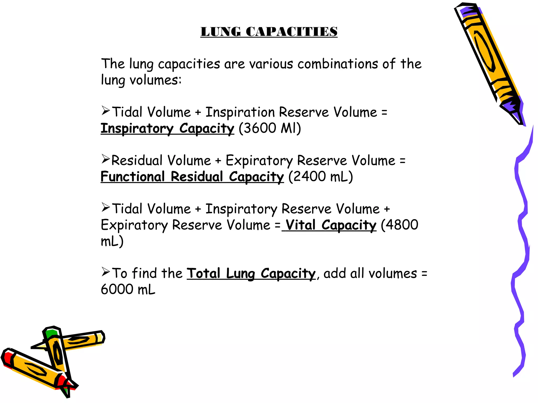 LUNG CAPACITIES
The lung capacities are various combinations of the
lung volumes:
Tidal Volume + Inspiration Reserve Volume =
Inspiratory Capacity (3600 Ml)
Residual Volume + Expiratory Reserve Volume =
Functional Residual Capacity (2400 mL)
Tidal Volume + Inspiratory Reserve Volume +
Expiratory Reserve Volume = Vital Capacity (4800
mL)
To find the Total Lung Capacity, add all volumes =
6000 mL
 