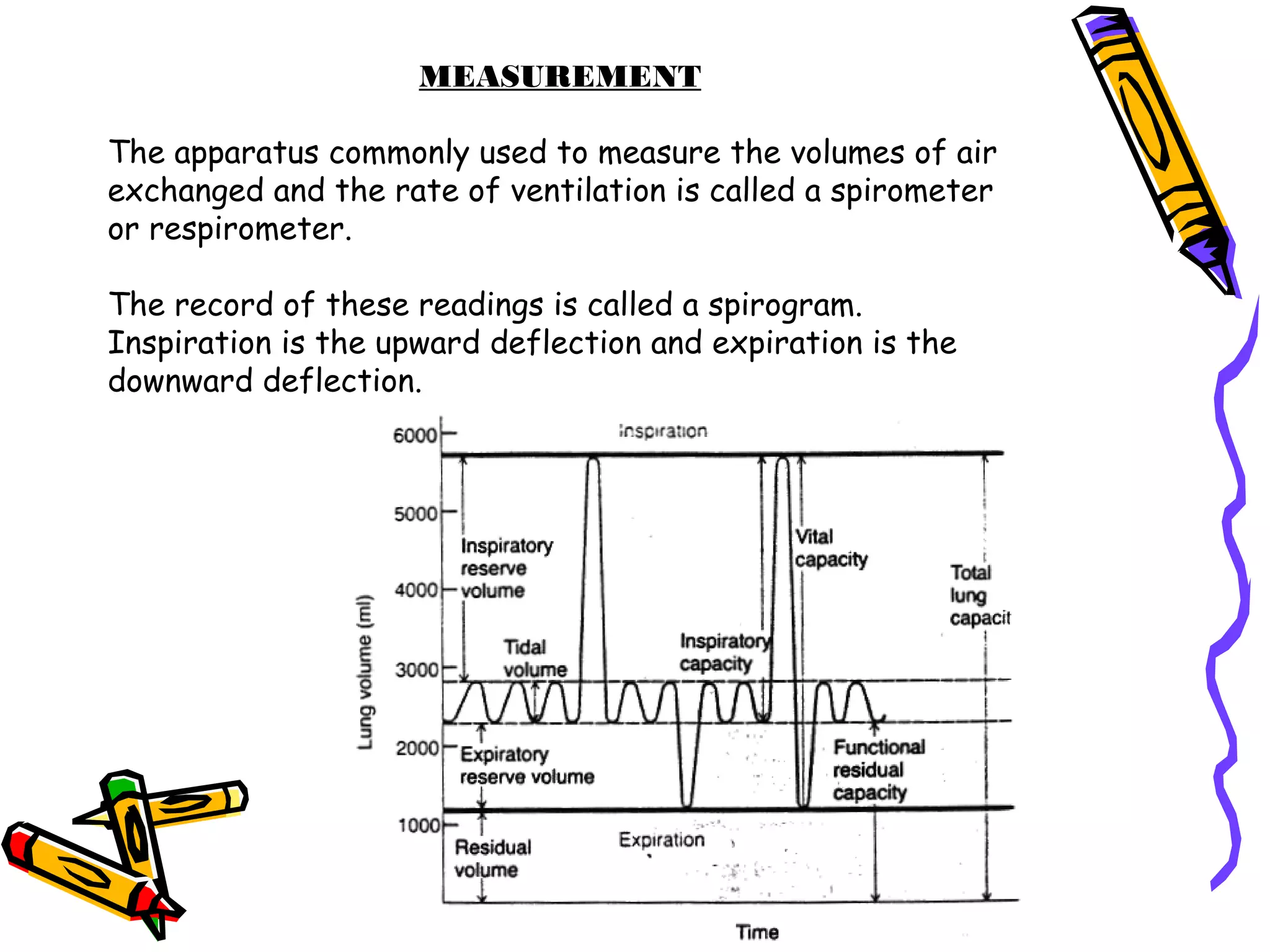 MEASUREMENT
The apparatus commonly used to measure the volumes of air
exchanged and the rate of ventilation is called a spirometer
or respirometer.
The record of these readings is called a spirogram.
Inspiration is the upward deflection and expiration is the
downward deflection.
 