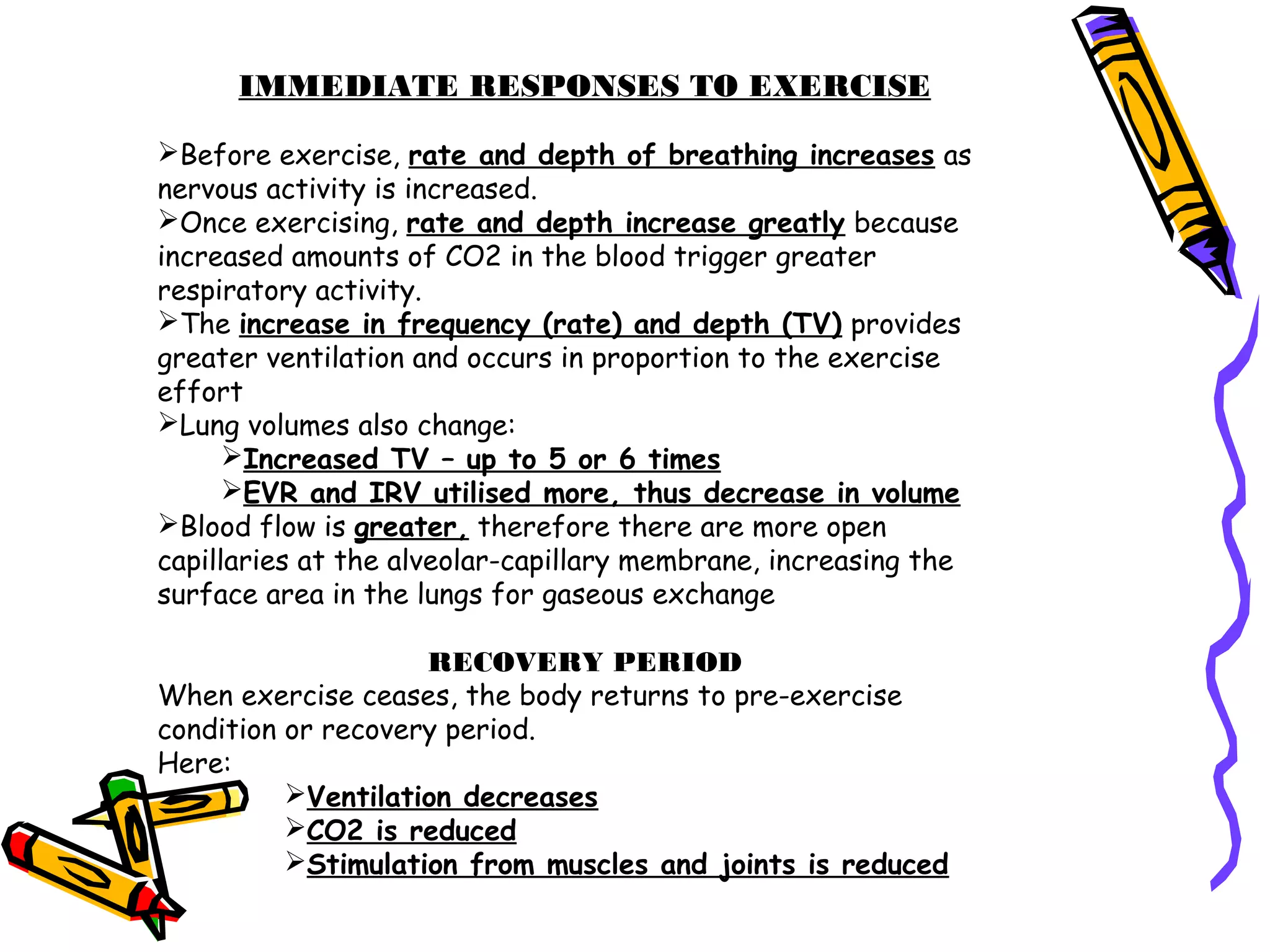 IMMEDIATE RESPONSES TO EXERCISE
Before exercise, rate and depth of breathing increases as
nervous activity is increased.
Once exercising, rate and depth increase greatly because
increased amounts of CO2 in the blood trigger greater
respiratory activity.
The increase in frequency (rate) and depth (TV) provides
greater ventilation and occurs in proportion to the exercise
effort
Lung volumes also change:
Increased TV – up to 5 or 6 times
EVR and IRV utilised more, thus decrease in volume
Blood flow is greater, therefore there are more open
capillaries at the alveolar-capillary membrane, increasing the
surface area in the lungs for gaseous exchange
RECOVERY PERIOD
When exercise ceases, the body returns to pre-exercise
condition or recovery period.
Here:
Ventilation decreases
CO2 is reduced
Stimulation from muscles and joints is reduced
 