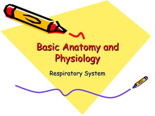 Basic Anatomy andBasic Anatomy and
PhysiologyPhysiology
Respiratory SystemRespiratory System
 