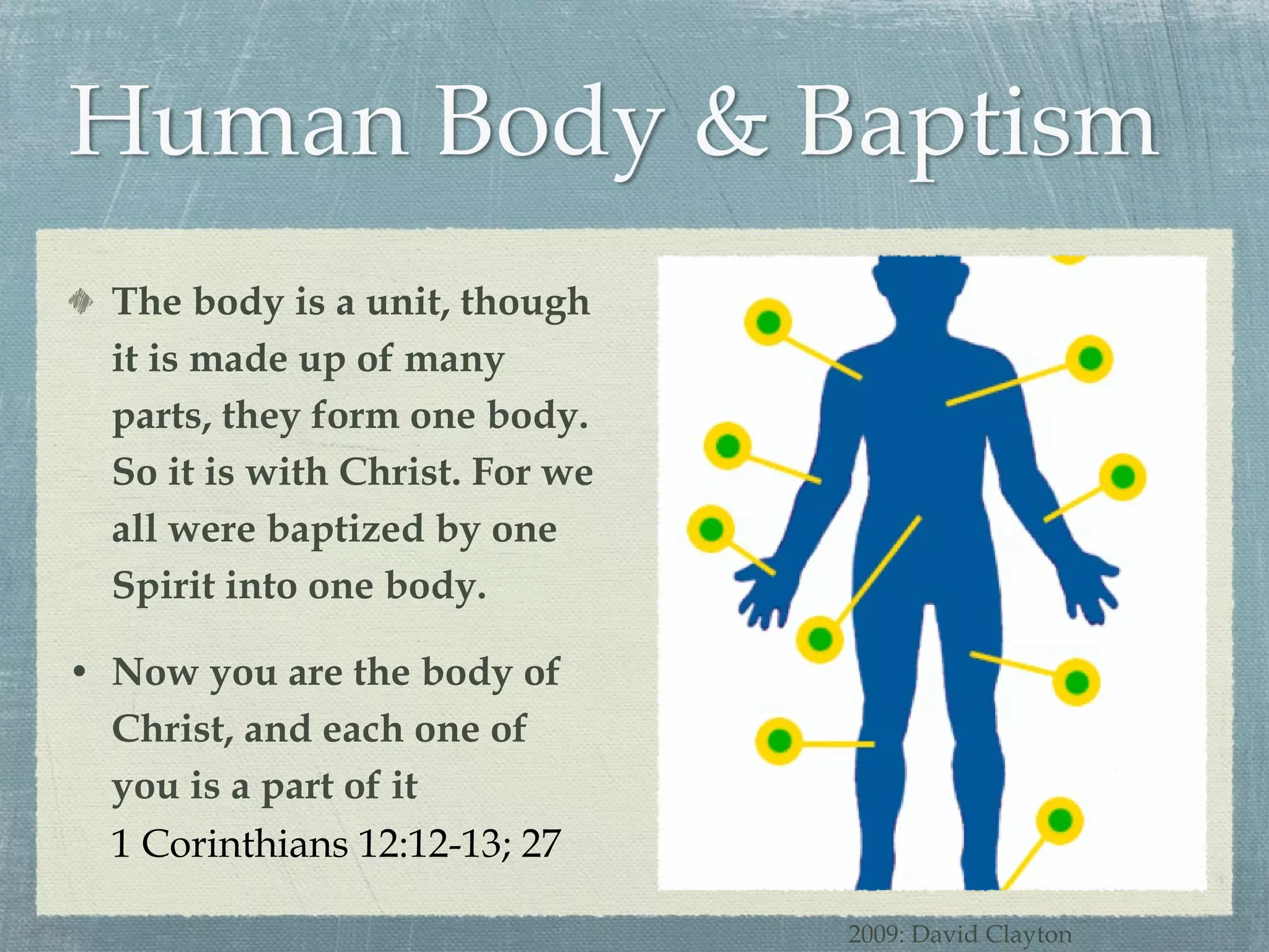 The body is a unit, though it is made up of many parts, they form one body. So it is with Christ. For we all were baptized by one Spirit into one body. Now you are the body of Christ, and each one of you is a part of it 1 Corinthians 12:12-13; 27 2009: David Clayton 