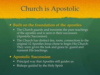 Church is Apostolic 
 Built on the foundation of the apostles 
 The Church guards and transmits the pure teachings 
of the apostles and is seen in their successors 
(Apostolic Succession) 
 The Church has distinct ties, roots, connections to the 
original 12 Apostles Jesus chose to begin His Church. 
They were given the task and grace to guard and 
transmit His teachings. 
 Apostolic Succession 
 Principal way that Apostles still guides us 
 Bishops guided by the Holy Spirit 
 
