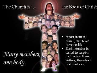 The Church is … The Body of Christ 
• Apart from the 
head (Jesus), we 
have no life 
• Each member is 
called to care for 
each other. If one 
suffers, the whole 
body suffers. 
 