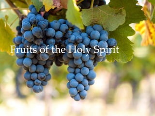 Fruits of the Holy Spirit 
 