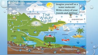 Imagine yourself as a
water molecule!
Write a story of your
travels and abilities!
 