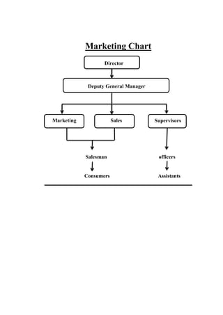 Marketing Chart
Director
Deputy General Manager
Marketing Sales Supervisors
Salesman officers
Consumers Assistants
 