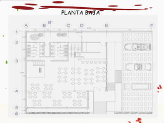 PLANTA BAJA