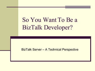 So You Want To Be a BizTalk Developer? BizTalk Server – A Technical Perspective 
