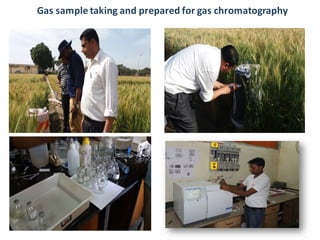 Baral, Bandhu Raj - Climate Food and Farming CLIFF Network annual workshop November 2017