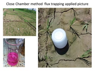 Baral, Bandhu Raj - Climate Food and Farming CLIFF Network annual workshop November 2017