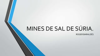 MINES DE SAL DE SÚRIA.
ROGER BARALDÉS
 