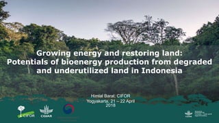 Himlal Baral, CIFOR
Yogyakarta, 21 – 22 April
2018
Growing energy and restoring land:
Potentials of bioenergy production from degraded
and underutilized land in Indonesia
 