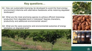 Growing energy and restoring land: Potentials of bioenergy production from degraded and underutilized land in Indonesia