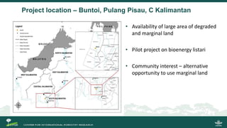 Growing energy and restoring land: Potentials of bioenergy production from degraded and underutilized land in Indonesia