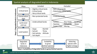 Growing energy and restoring land: Potentials of bioenergy production from degraded and underutilized land in Indonesia