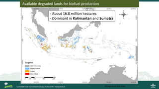 Growing energy and restoring land: Potentials of bioenergy production from degraded and underutilized land in Indonesia