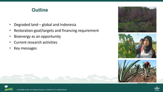 Growing energy and restoring land: Potentials of bioenergy production from degraded and underutilized land in Indonesia