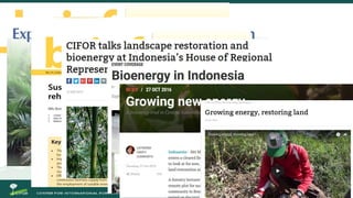 Growing energy and restoring land: Potentials of bioenergy production from degraded and underutilized land in Indonesia