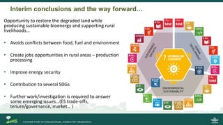 Growing energy and restoring land: Potentials of bioenergy production from degraded and underutilized land in Indonesia