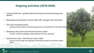 Growing energy and restoring land: Potentials of bioenergy production from degraded and underutilized land in Indonesia