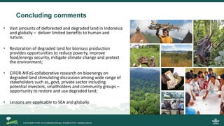 Growing energy and restoring land: Potentials of bioenergy production from degraded and underutilized land in Indonesia