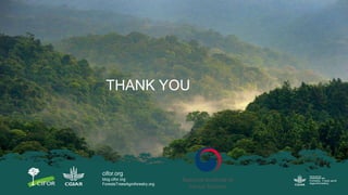 Growing energy and restoring land: Potentials of bioenergy production from degraded and underutilized land in Indonesia