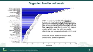Growing energy and restoring land: Potentials of bioenergy production from degraded and underutilized land in Indonesia