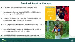Growing energy and restoring land: Potentials of bioenergy production from degraded and underutilized land in Indonesia