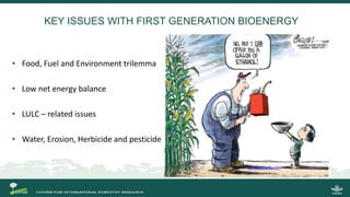 Growing energy and restoring land: Potentials of bioenergy production from degraded and underutilized land in Indonesia