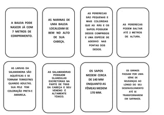 A BALEIA PODE
NASCER JÁ COM
7 METROS DE
COMPRIMENTO.
AS NARINAS DE
UMA BALEIA
LOCALIZAM-SE
BEM NO ALTO
DE SUA
CABEÇA.
AS PERERECAS
SÃO PEQUENAS E
MAIS COLORIDAS
QUE AS RÃS E OS
SAPOS. POSSUEM
DEDOS COMPRIDOS
E UMA ESPÉCIE DE
ADESIVO NAS
PONTAS DOS
DEDOS.
AS PERERECAS
PODEM SALTAR
ATÉ 2 METROS
DE ALTURA.
AS LARVAS DA
SALAMANDRA SÃO
AQUÁTICAS E SE
TORNAM TERRESTRES
QUANDO ADULTAS.
SUA PELE TEM
COLORAÇÃO PRETA E
AMARELA.
AS SALAMANDRAS
POSSUEM
GLANDULAS
EXCRETORAS NA
PARTE DE TRÁS
DA CABEÇA E SEU
VENENO É
ALTAMENTE
TÓXICO.
OS SAPOS
MEDEM CERCA
DE 140 MM
ENQUANTO AS
FÊMEAS MEDEM
170 MM.
OS GIRINOS
PASSAM POR UMA
SÉRIE DE
MUDANÇAS AO
LONGO DO SEU
DESENVOLVIMENTO
ATÉ SE
TRANSFORMAREM
EM SAPINHOS.
 