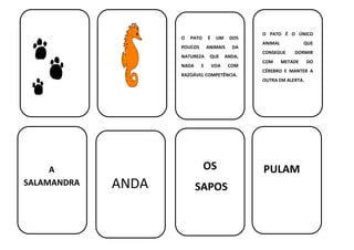 O PATO É UM DOS
POUCOS ANIMAIS DA
NATUREZA QUE ANDA,
NADA E VOA COM
RAZOÁVEL COMPETÊNCIA.
O PATO É O ÚNICO
ANIMAL QUE
CONSEGUE DORMIR
COM METADE DO
CÉREBRO E MANTER A
OUTRA EM ALERTA.
A
SALAMANDRA ANDA
OS
SAPOS
PULAM
 