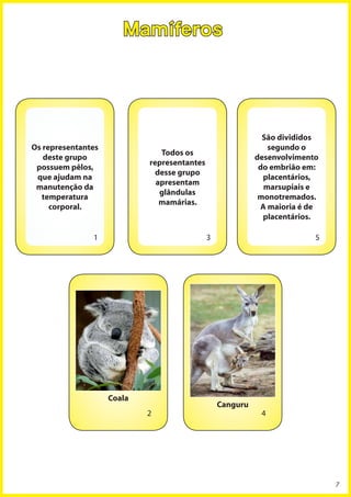 Mamíferos




                                                             São divididos
Os representantes                                             segundo o
                               Todos os
   deste grupo                                             desenvolvimento
                            representantes
 possuem pêlos,                                             do embrião em:
                              desse grupo
 que ajudam na                                               placentários,
                              apresentam
 manutenção da                                               marsupiais e
                               glândulas
  temperatura                                               monotremados.
                               mamárias.
     corporal.                                              A maioria é de
                                                             placentários.

               1                             3                           5




                    Coala
                                                 Canguru
                            2                               4




                                                                             7
 