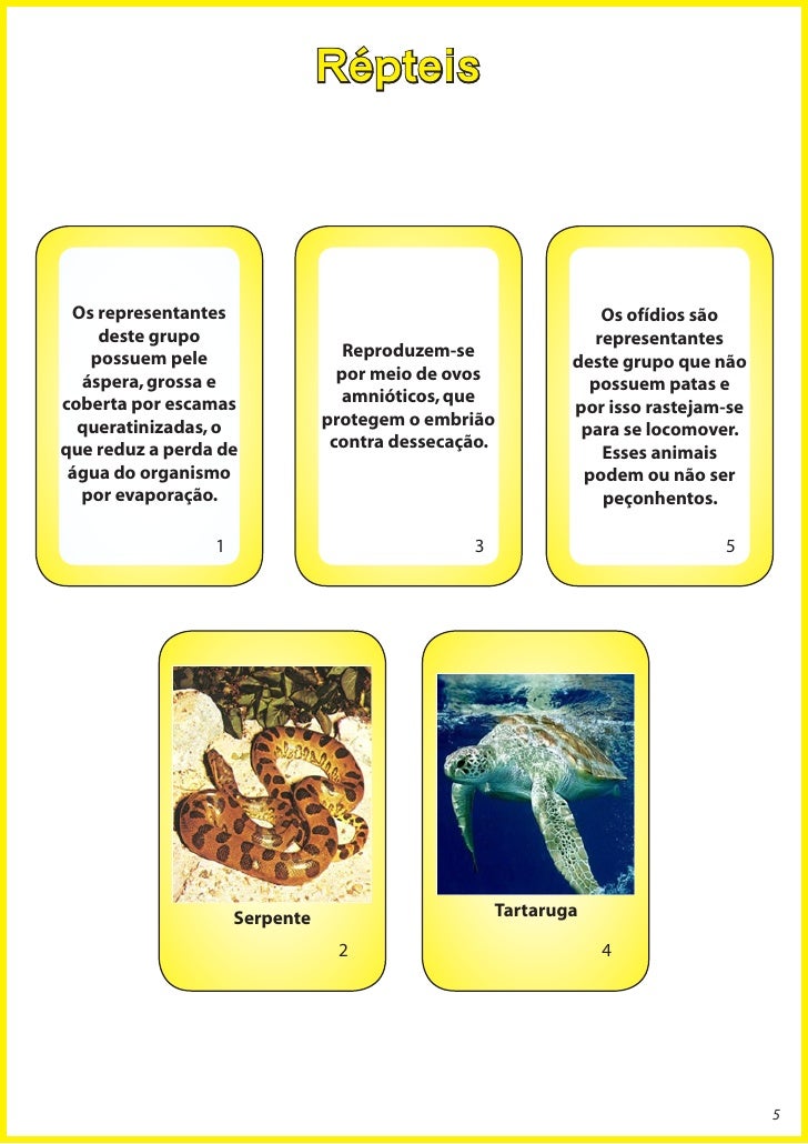 Baralho animal cartas