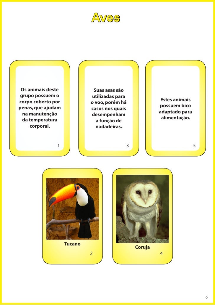 Baralho animal cartas