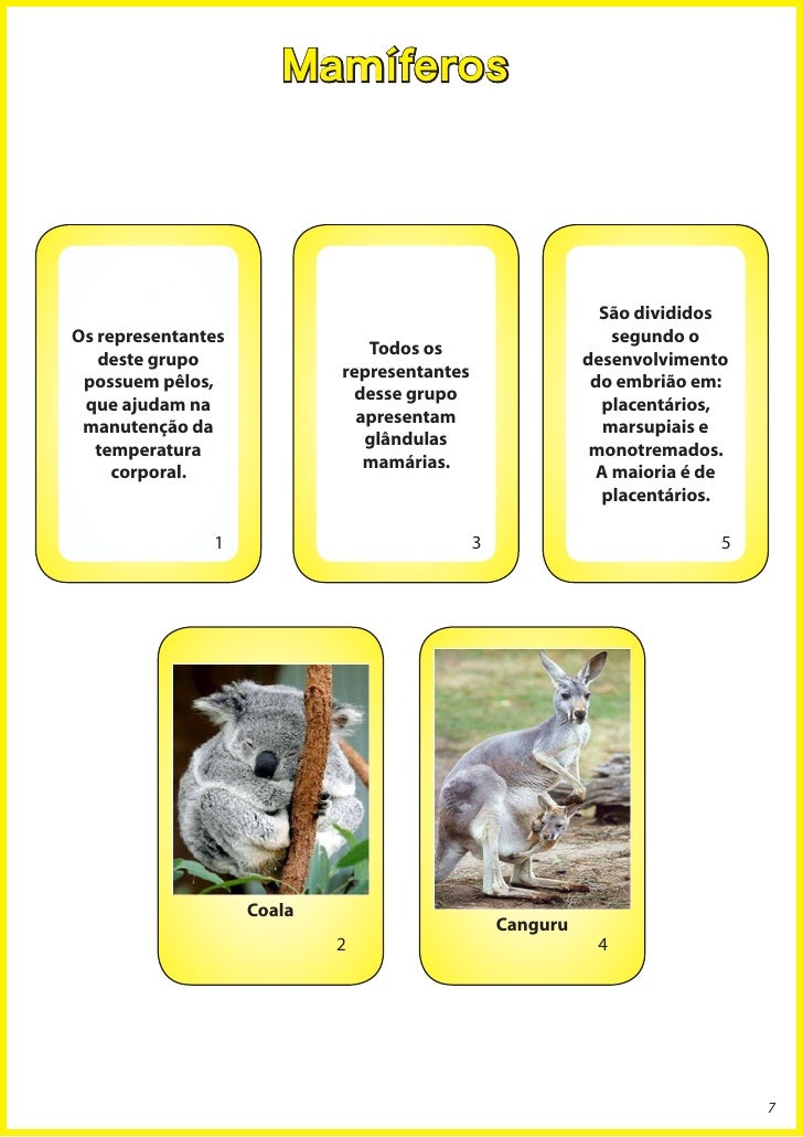 Baralho animal cartas