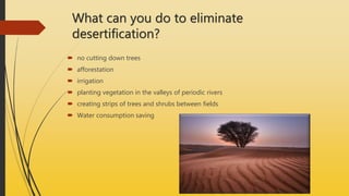 What can you do to eliminate
desertification?
 no cutting down trees
 afforestation
 irrigation
 planting vegetation in the valleys of periodic rivers
 creating strips of trees and shrubs between fields
 Water consumption saving
 
