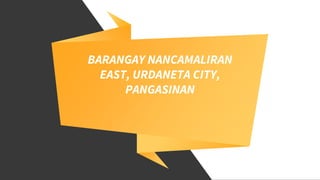 BARANGAY NANCAMALIRAN
EAST, URDANETA CITY,
PANGASINAN
 