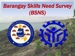Barangay Skills Need Survey
(BSNS)
 