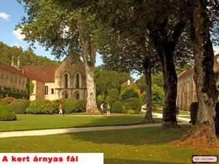A kert árnyas á
 