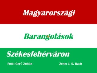 Magyarországi
Székesfehérváron
Barangolások
Fotó: Ger Zoltán Zene: J. S. Bachő
 