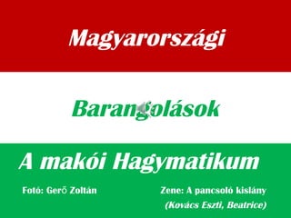 Magyarországi
A makói Hagymatikum
Barangolások
Fotó: Ger Zoltán Zene: A pancsoló kislányő
(Kovács Eszti, Beatrice)
 