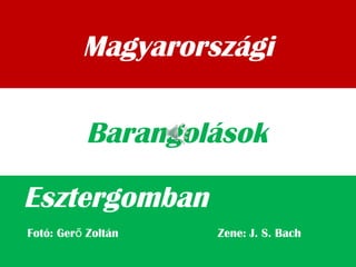 Magyarországi
Esztergomban
Barangolások
Fotó: Ger Zoltán Zene: J. S. Bachő
 