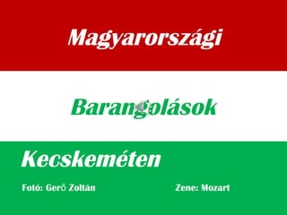 Magyarországi
Kecskeméten
Barangolások
Fotó: Ger Zoltán Zene: Mozartő
 