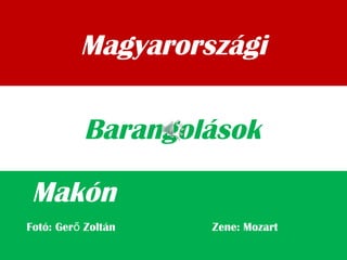 Magyarországi
Makón
Barangolások
Fotó: Ger Zoltán Zene: Mozartő
 
