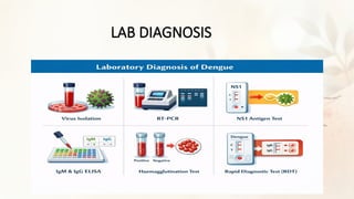 Comprehensive Clinical and Laboratory Diagnosis of Dengue Fever and Its ...