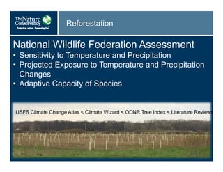 Reforestation
National Wildlife Federation Assessment
• Sensitivity to Temperature and Precipitation
• Projected Exposure to Temperature and Precipitation
Changes
• Adaptive Capacity of Species
USFS Climate Change Atlas < Climate Wizard < ODNR Tree Index < Literature Reviews
 