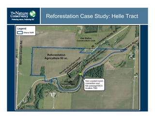 Reforestation Case Study: Helle Tract
 