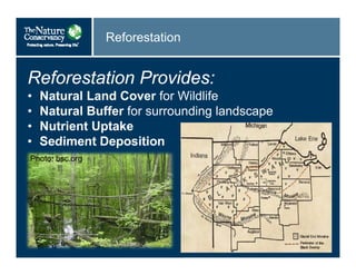 Reforestation
Reforestation Provides:
• Natural Land Cover for Wildlife
• Natural Buffer for surrounding landscape
• Nutrient Uptake
• Sediment Deposition
Photo: bsc.org
 
