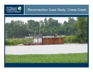 Reconnection Case Study: Crane Creek
 